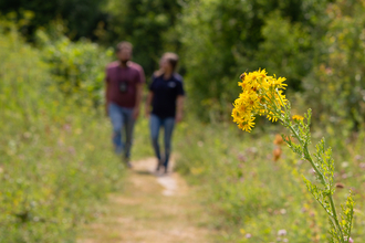 people in wood wildlife trust