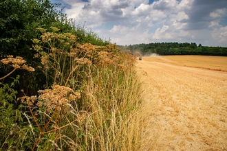 Guy Tucker field margin