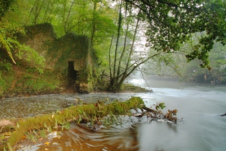 River Torridge at Halsdon reserve