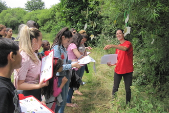 A group of young people look at wildlife cards 