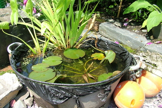 container pond