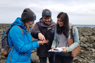 Volunteers taking part in Shoresearch