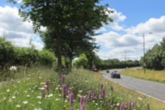 Road verge