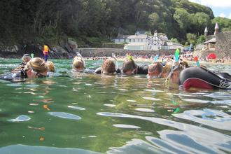 Group snorkeling to see what's beneath the sea