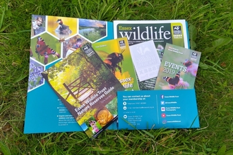 Essex WT membership pack