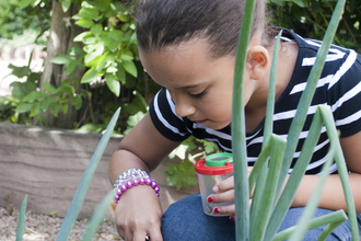 Bug Hunting - Amy Lewis