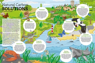 Natural Carbon Solutions