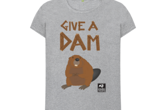 beaver