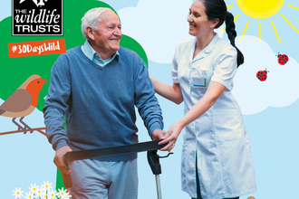 30 Days Wild care home tile