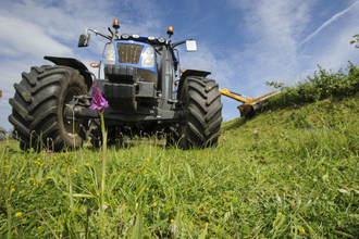 Orchid on brownfield site