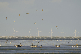 Wind farm