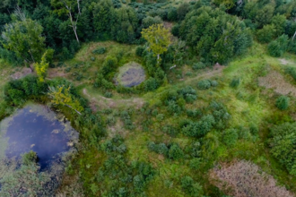 Thomson Common, Norfolk Wildlife Trust