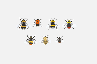 bumbles