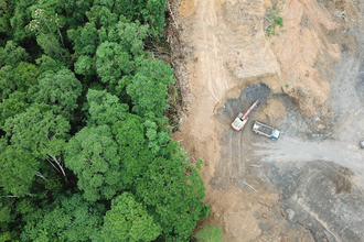 On the left is an area of forest. On the right is bare earth and diggers, where the forest has been felled.