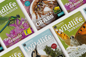 Yorkshire Wildlife Trust magazine