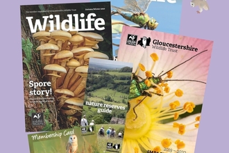 Gloucestershire Wildlife Trust membership pack