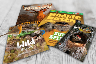 Surrey Wildlife Trust membership pack