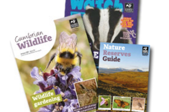 Cumbria Wildlife Trust membership pack