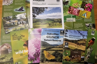 Radnorshire pack