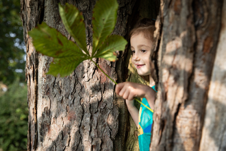 child in tree