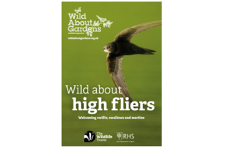 Wild About High fliers