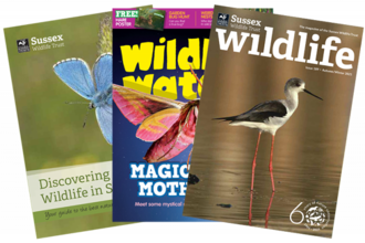 Sussex wildlife trust membership pack