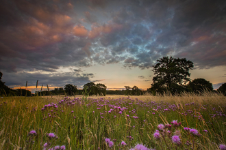 Ash Green Meadows
