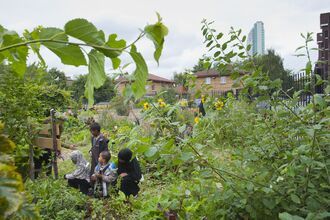 Children gardening 