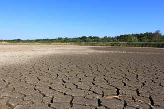West scrape dried up at Potteric Carr