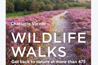 Wildlife walks