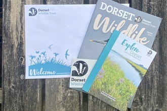 Dorset membership pack