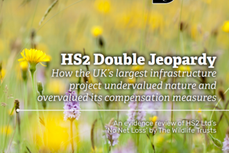 HS2 Report