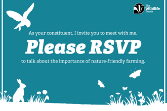 A graphic which says 'As your constituent, I invite you to meet with me. Please RSVP to talk about the importance of nature-friendly farming. The text is white on a teal background. The Wildlife Trusts logo is in the upper right hand corner.