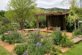 A wildlife garden featuring an mix of wildflowers and trees.