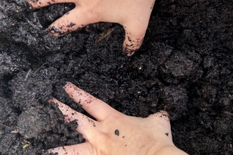 Jacca exploring soil