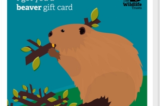 Beaver Card