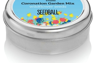 Seedball Coronation Garden Mix