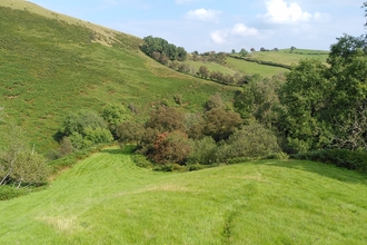 View of Pentwyn