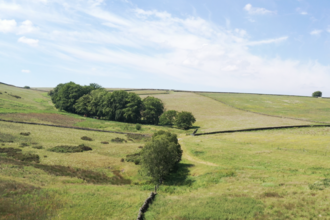 UGHILL FARM 