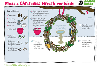 Christmas wreath for birds