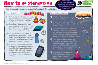 Stargazing