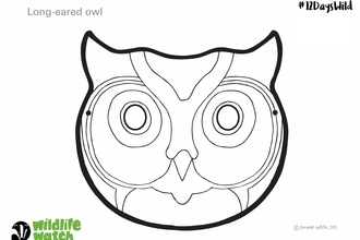 Owl mask