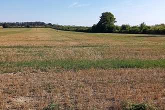 Fleam Dyke - Biodiversity Net Gain site