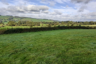 Common Farm