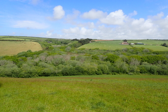 Lanvean Bottoms - Biodiversity Net Gain site