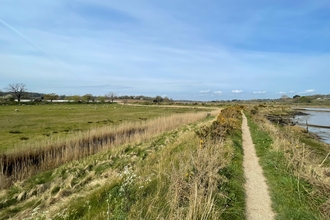 Martlesham Wilds