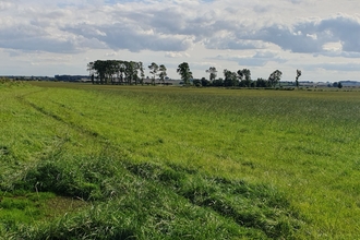 Mordon North existing agricultural grasslands