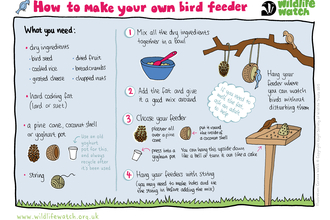 How to clean bird feeders