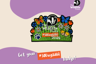 30DW pawPrint badge 2024 Square