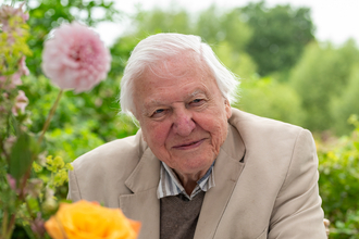Sir David Attenborough sitting at a table outside with a vase of flowers in the foreground